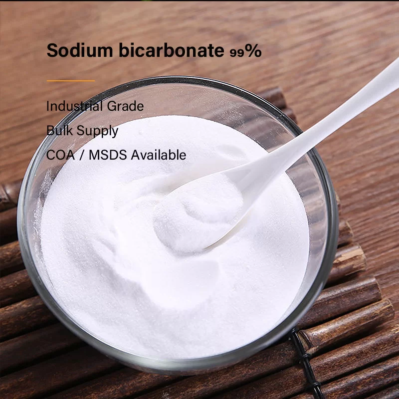 Sodium Bicarbonate 99% Min Industrial Grade for Coatings Ceramic Water Treatment